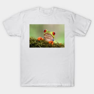 Red-eyed Tree Frog - Costa Rica T-Shirt